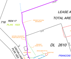 Topographic map